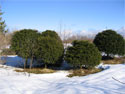 Online Store, web-based Coldfusion application, selling, photos, images, photo / image product type